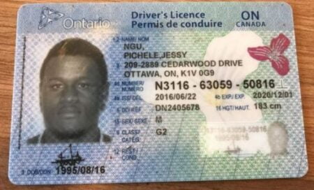 Canada Drivers License 002