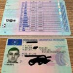 Germany Driver’s License 003