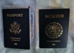 Mexican Passport Online