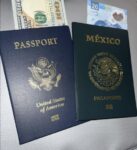 Mexican Passport Online