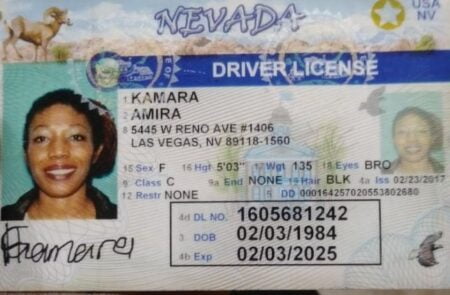 Nevada Driver's License ID Card