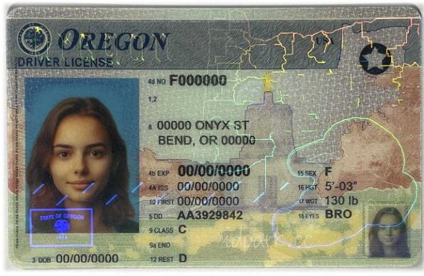 Buy Oregon Driver License and ID Card