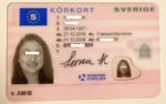 Sweden Driving Licence